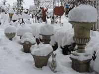 Winterimpression